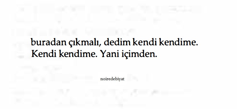 Ferit Edgü, Bir Gemide