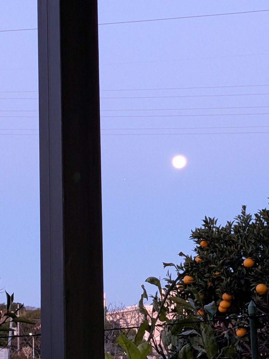 クロミツ tweet media