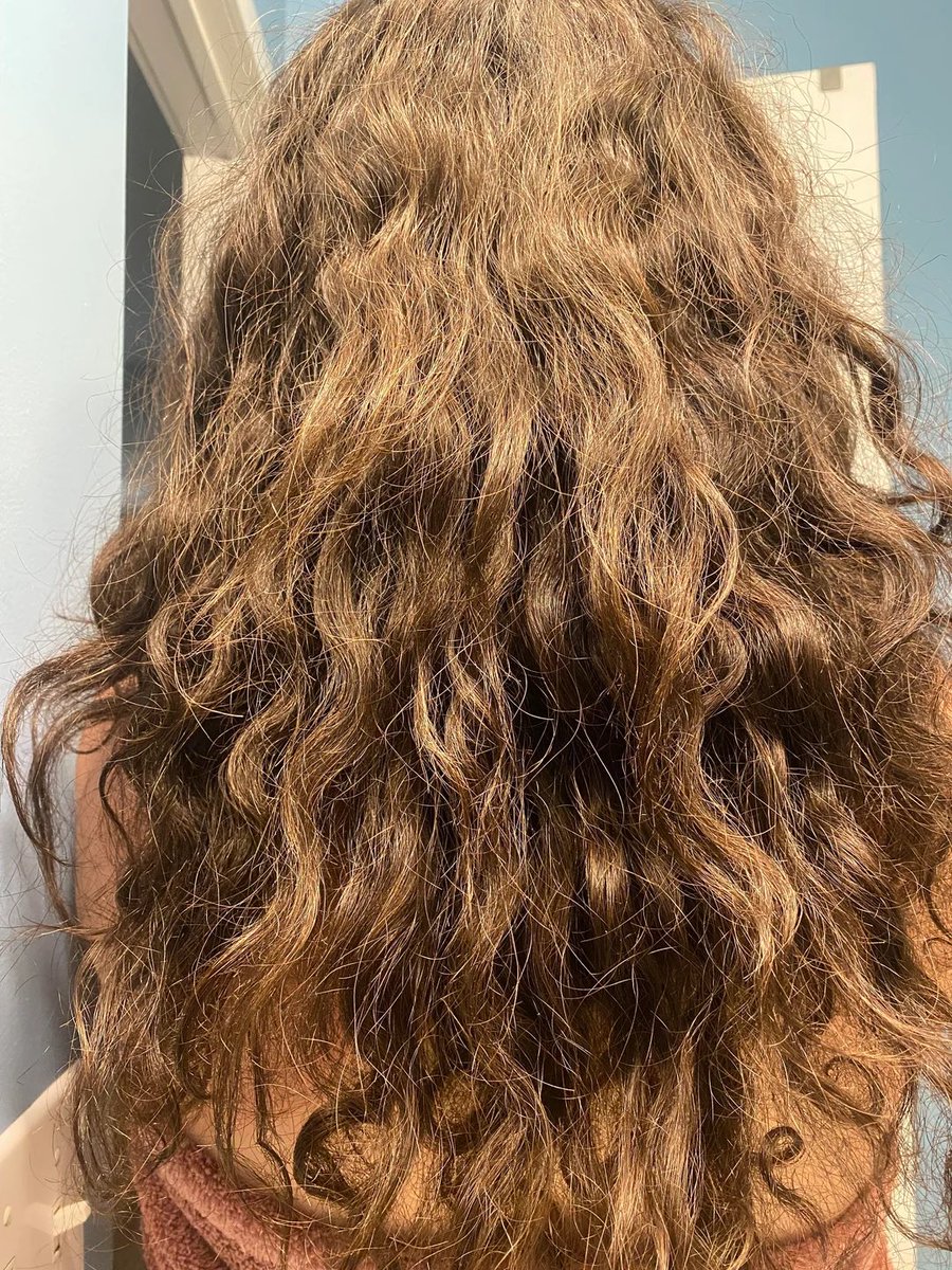 Madelaine Hanson tweet media