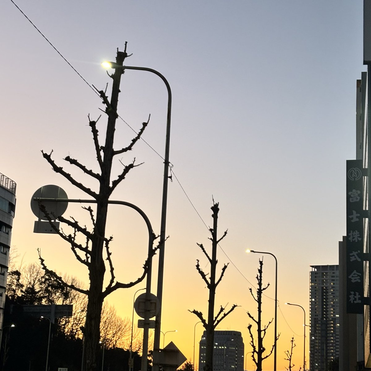 蘭丸1号機 (@shinsakan) / Posts / X