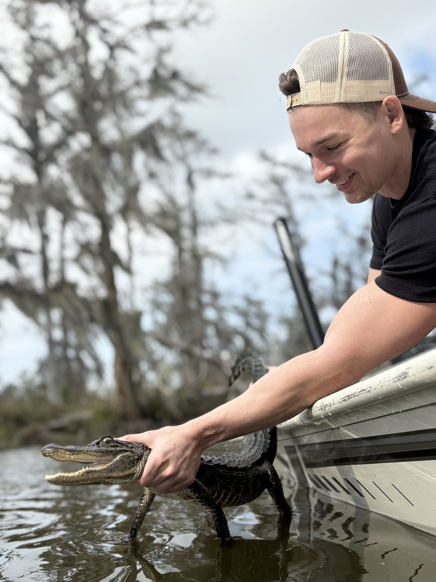 bubu dubu tweet media