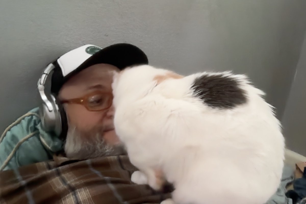 Nate Holdren tweet media