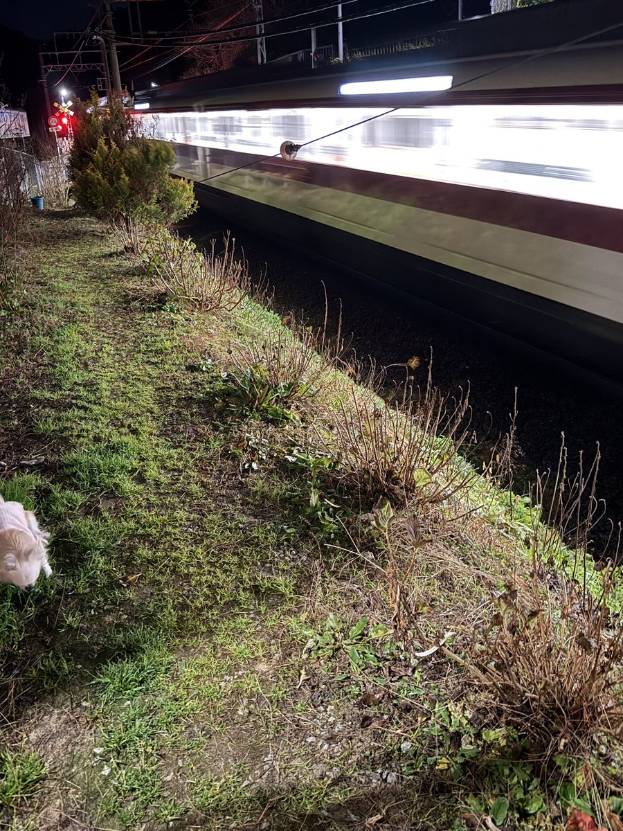 ChhiF's tweet image. おはようございます。
エセ撮り鉄です。
ヤボ用に…