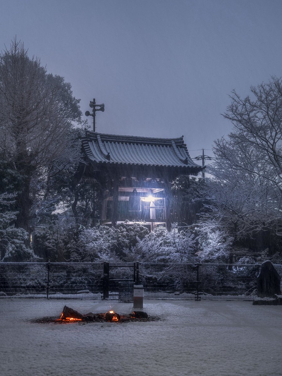 CONGRATULATIONS GREAT PHOTO ✨️