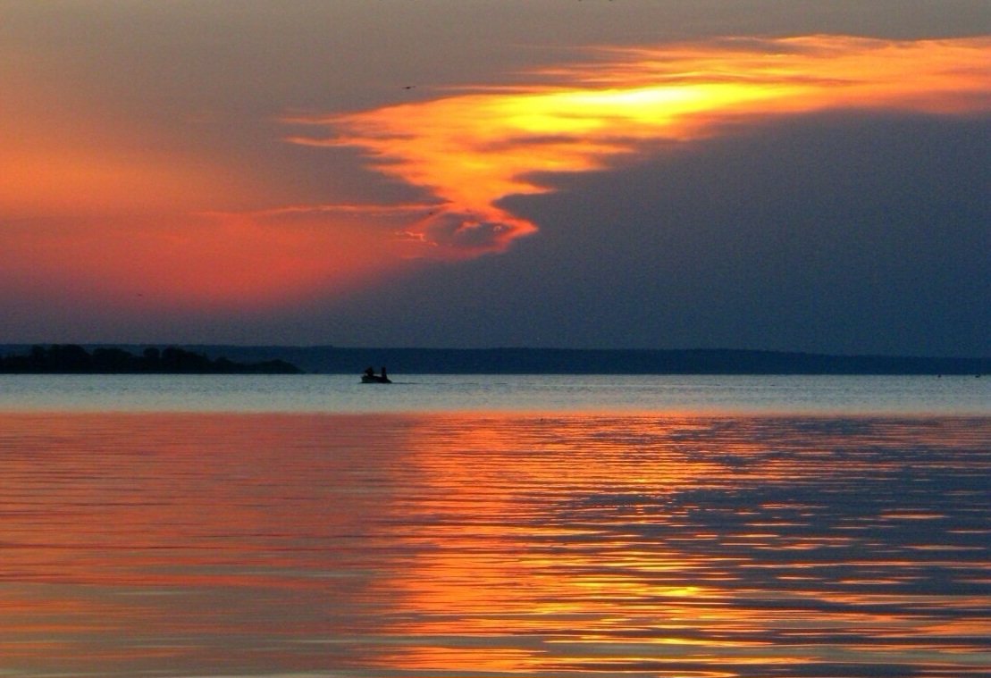 Катерина Галич tweet media