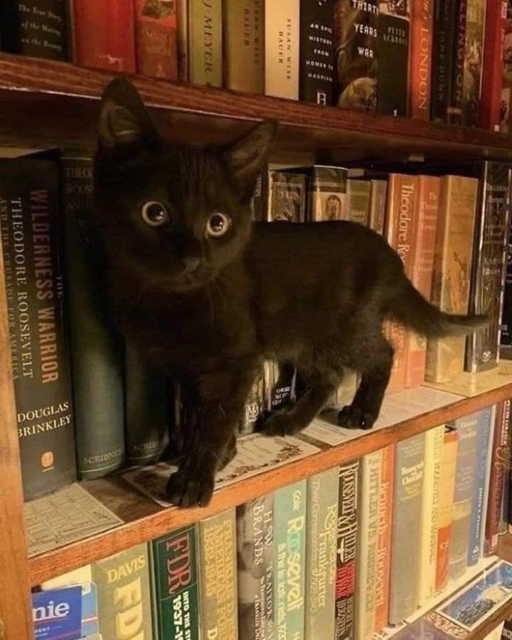 clara 🌱 tweet media