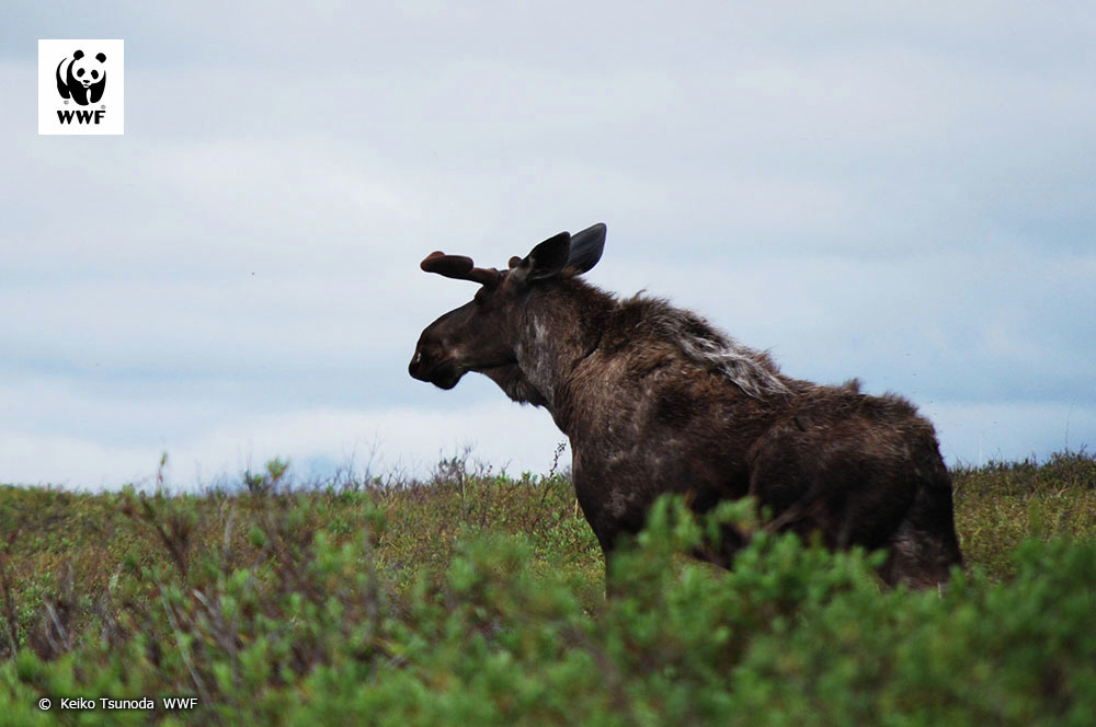 PANDA LOVE♥️ (@PANDALOVE0612) / Posts / X