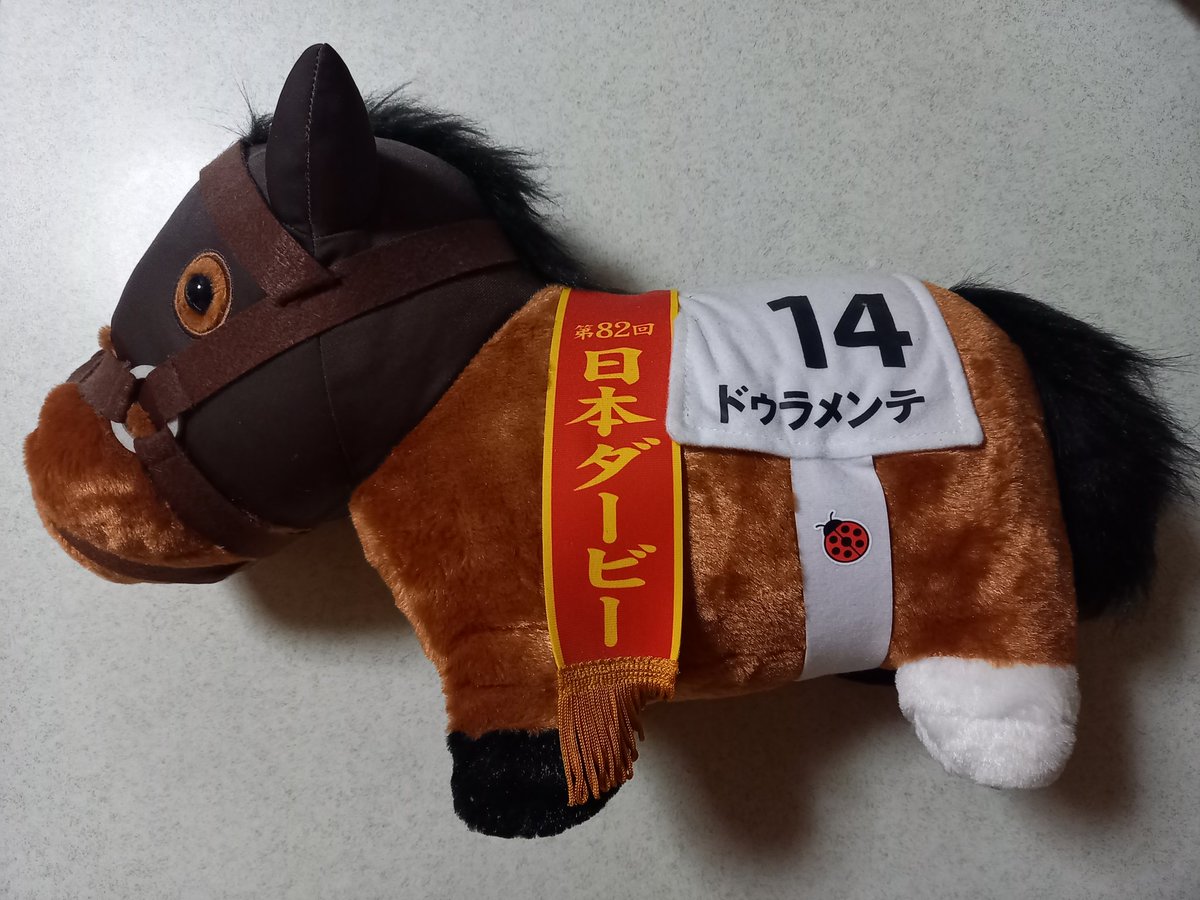 ワンダー765 #日本ダービー #ドゥラメンテ 池田さん、開けまして