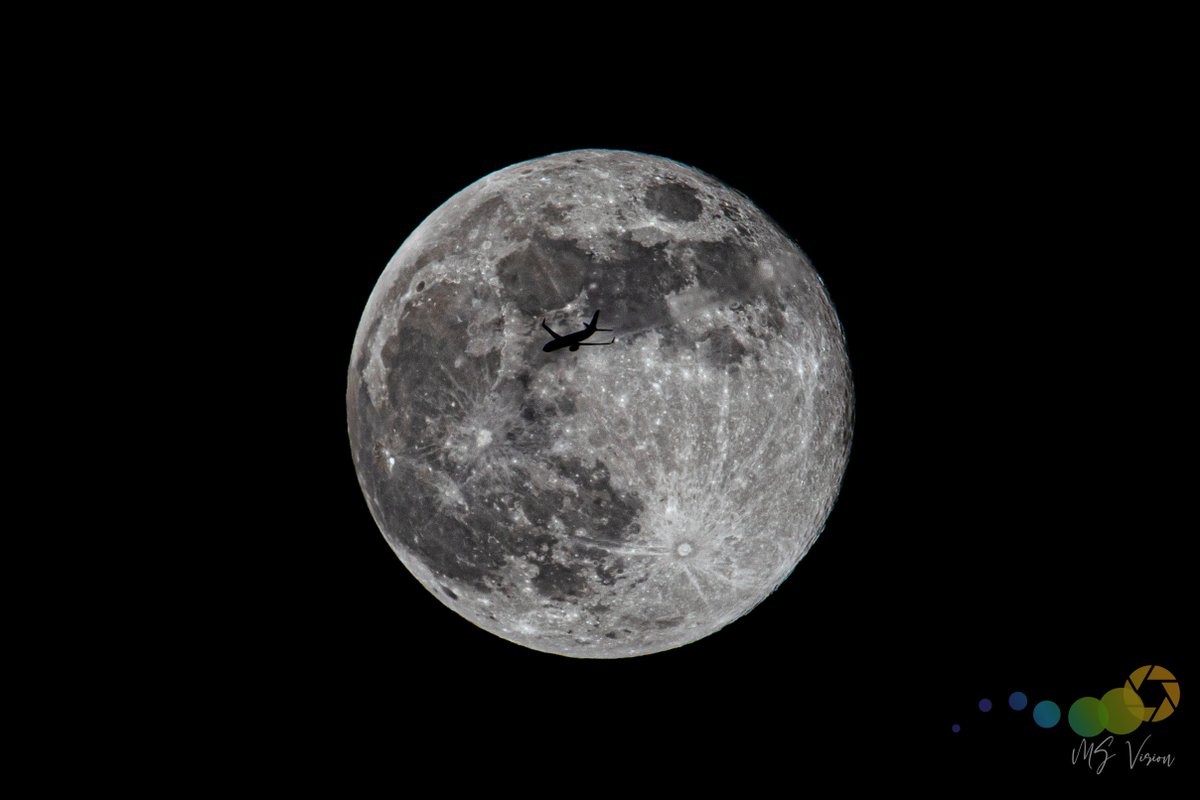 Matt Scotton tweet media