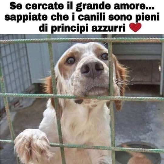 Patrizia💙 (@cuoreischitano) on Twitter photo 