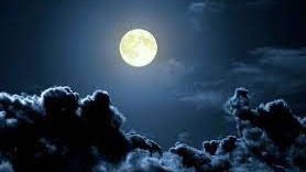 شيخة الحكمي tweet media