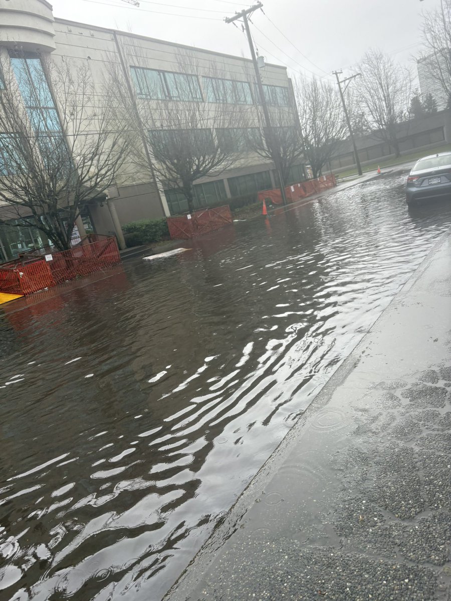 DoubleTimbit's tweet image. Damn, street is flooded lmao