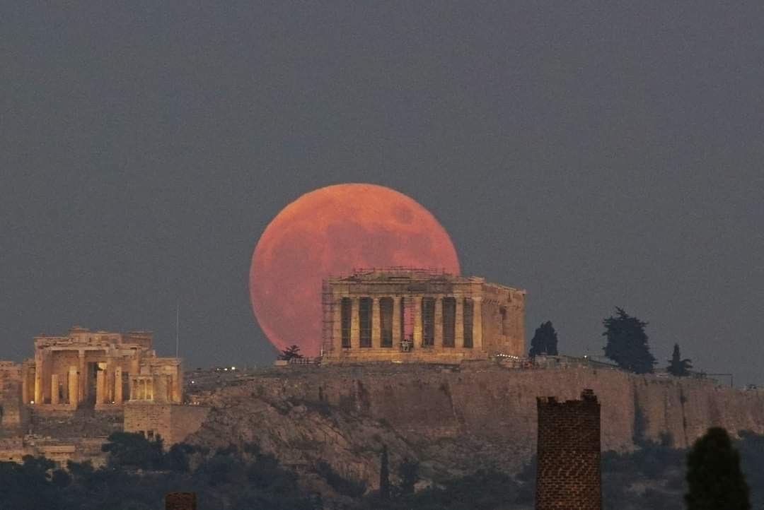 #freelaura tweet media