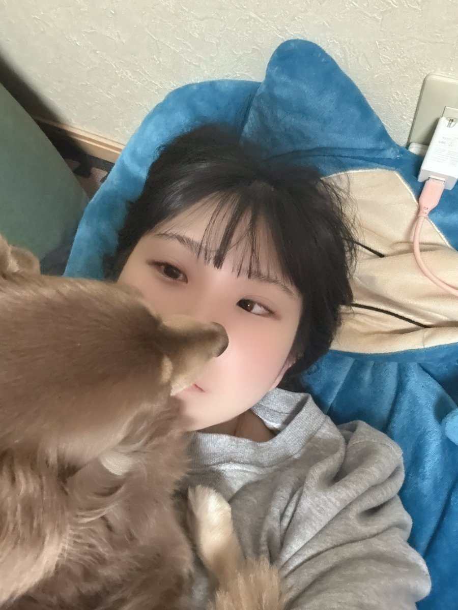 ぽん。 (@ponxpons0202) / Posts / X