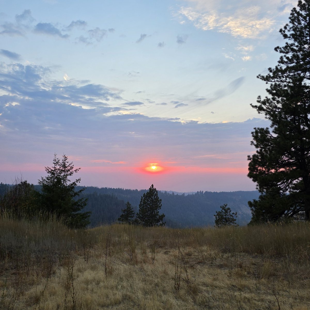 dougify's tweet image. 🌊3/3 BoomerWisdom: 2027 ignites the full AIEN symphony! With BHN Phase 1 hives activating in Columbia Plateau (5.2GW prototypes online), fusion-SMR symbiotes slash costs 20%, powering AI hyperscalers and EVs at $0.02/kWh. Private funding hits $150B, creating 500K jobs while…