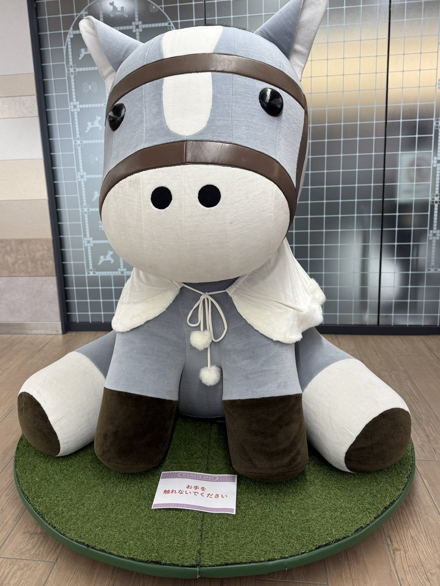 ChhiF's tweet image. 鏡開きからのUMAJO、、、
松山弘平と長嶋まなみが午年なんだって。