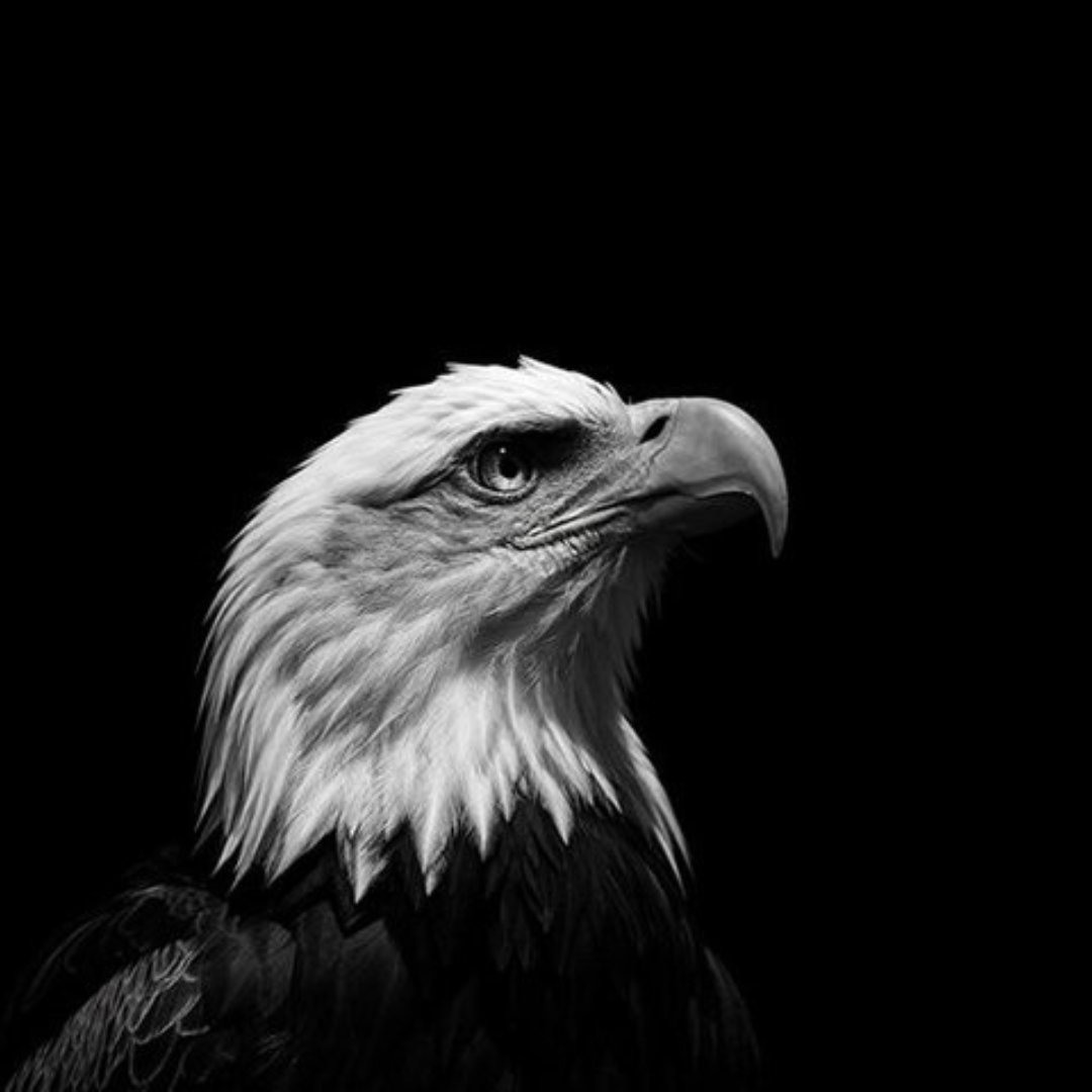 theeagleusd's tweet photo. The Eagle Rapes Maduro when he testify https://t.co/zPtu7lNdhO