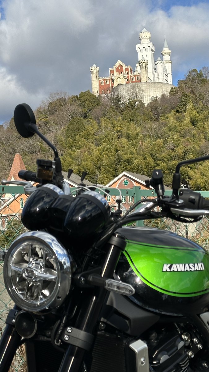 264　とらちゃん トラちゃんポストカード | segasworks