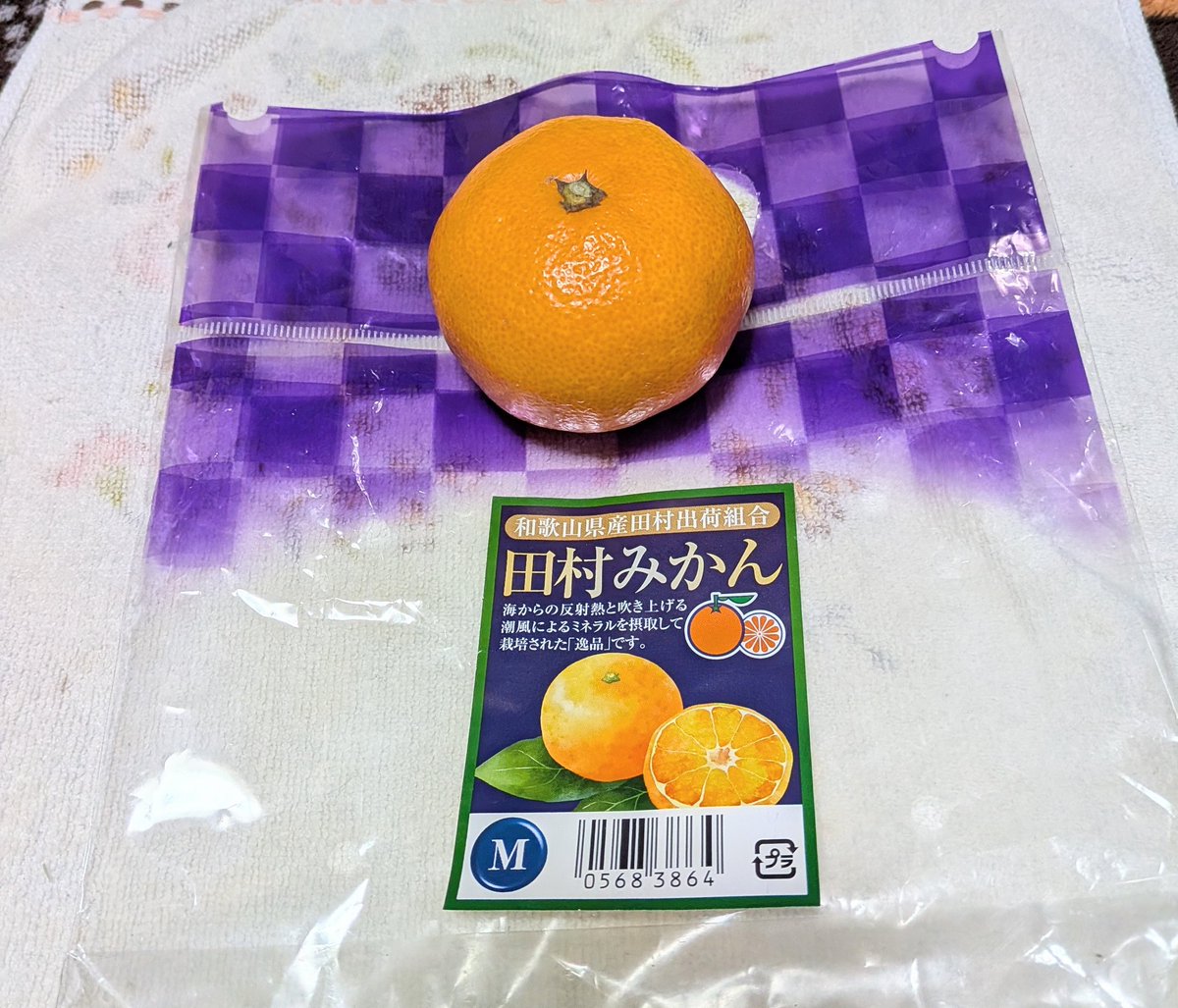 ２枚。☆SUZUYA☆❤みかん＊超レア❤厚手✳極暖柔やわ☆シングルお布団 超感謝特価❤みかん＊超レア❤超厚手＊極やわ⭐Wボア☆超特大ブランケット