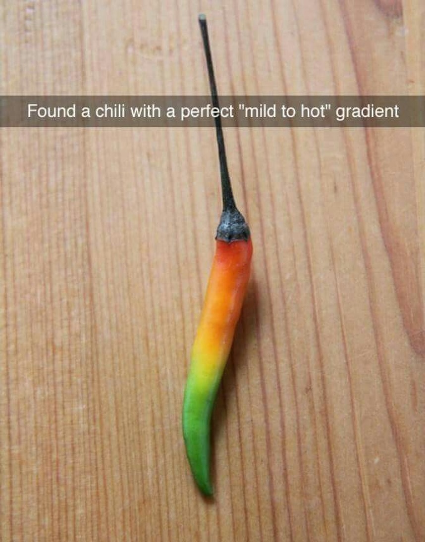 messedupfoods's tweet image. 