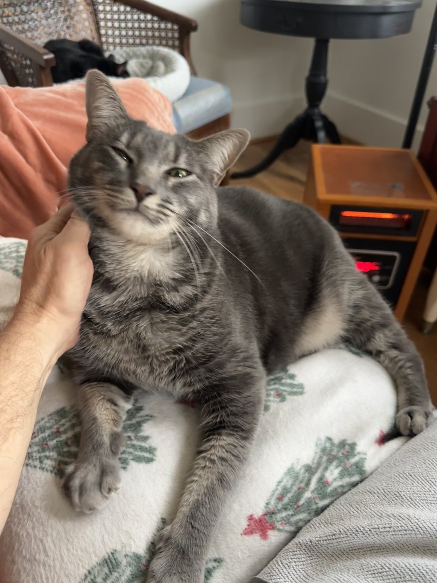 Patrick Skinner tweet media