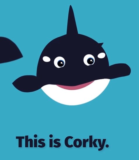 Woke Shamu tweet media