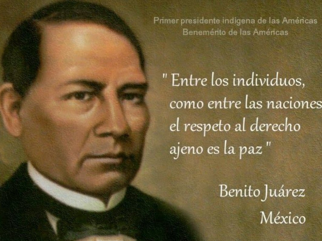 ALEJANDRO ALEX tweet media