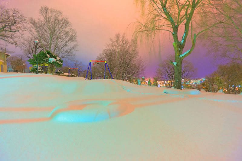dearvotion's tweet image. Winter in Hokkaido photographed by fuke.psan