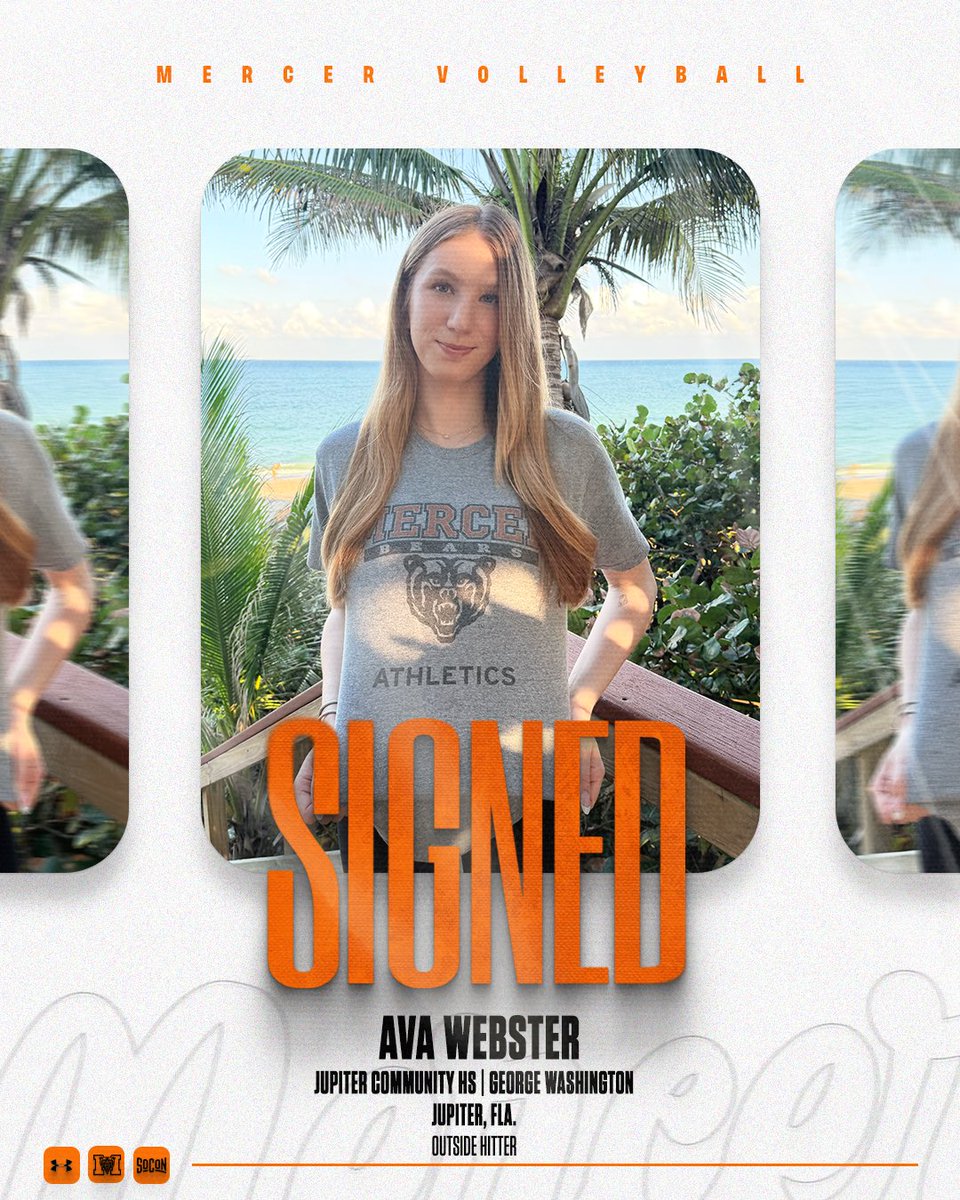 MercerBearsVB tweet media