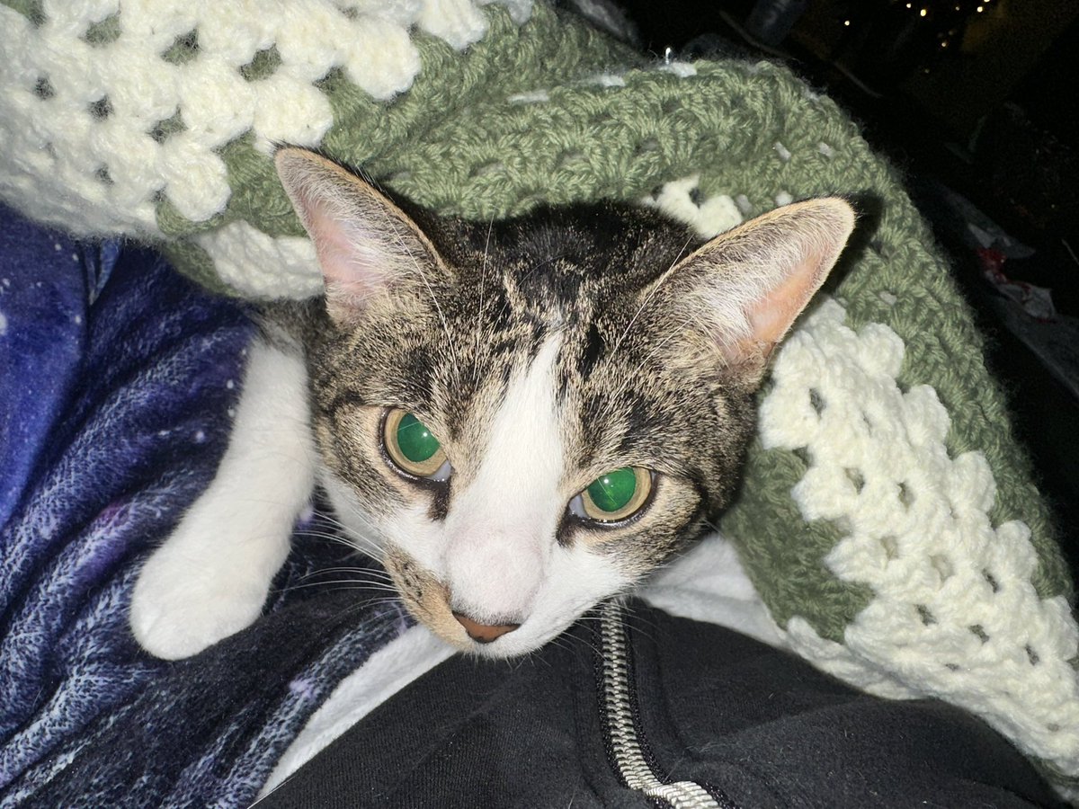 Linkin 💙Annie🌈 tweet media