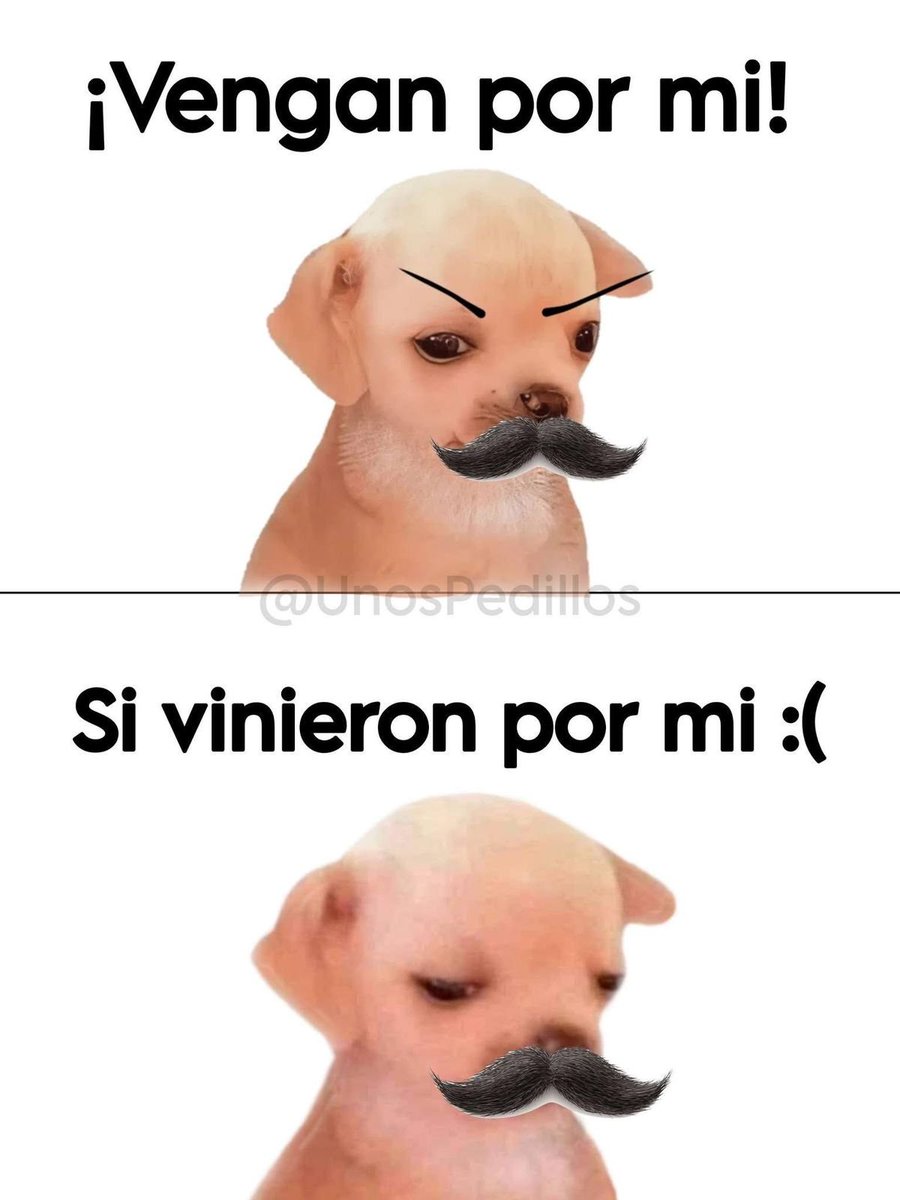 econokafka's tweet image. Genio quien lo hizo.