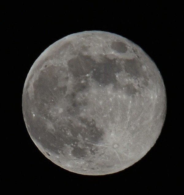 bigchrys2's tweet photo. Wolf Moon https://t.co/g43X5FwqRE