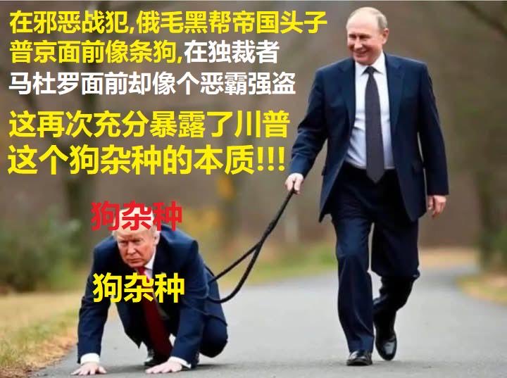 P.Youn tweet media