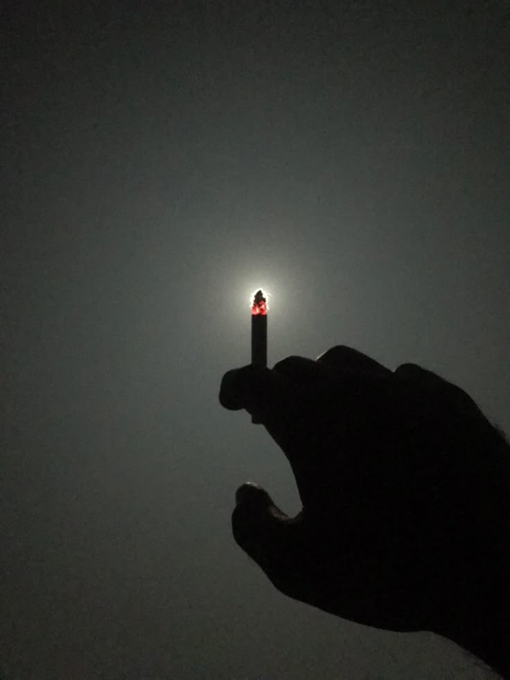 llpipi's tweet image. 