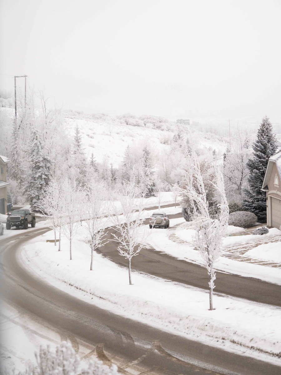 TerryWood19's tweet photo. We are getting a lot of fog freezing on everything - a Calgary Winter Scene from my window. January 3, 2026. https://t.co/rc4EmBLG2E