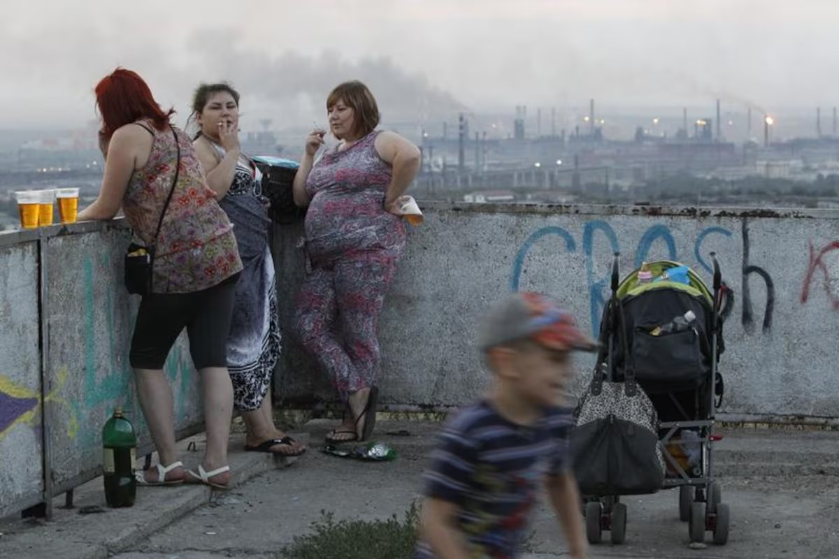 Собирая клубнику (@rotozeev) on Twitter photo 