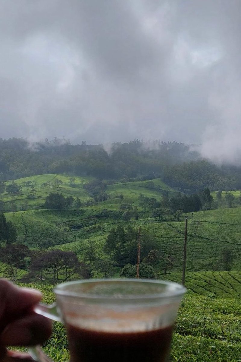 wreckmaker's tweet image. Mornings don’t get better than this one. I totally understand bapak-bapak now that I don’t mind being called one of them