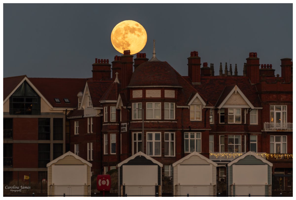 Caroline James Photography tweet media