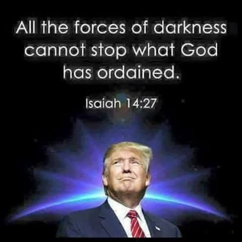 <a href="/PapiTrumpo/">il Donaldo Trumpo</a> Winning is WONDERFUL 
FREEDOM IS AMAZING 
GOD BLESS YOU PRECIOUS PRESIDENT TRUMP 
FREEDOM FIGHTER FOR PEACE &amp; JUSTICE ⚖️