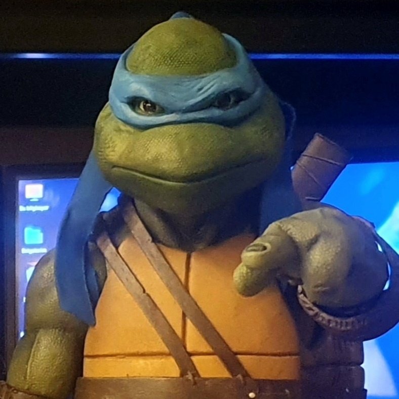 TMNT_Configuration tweet media