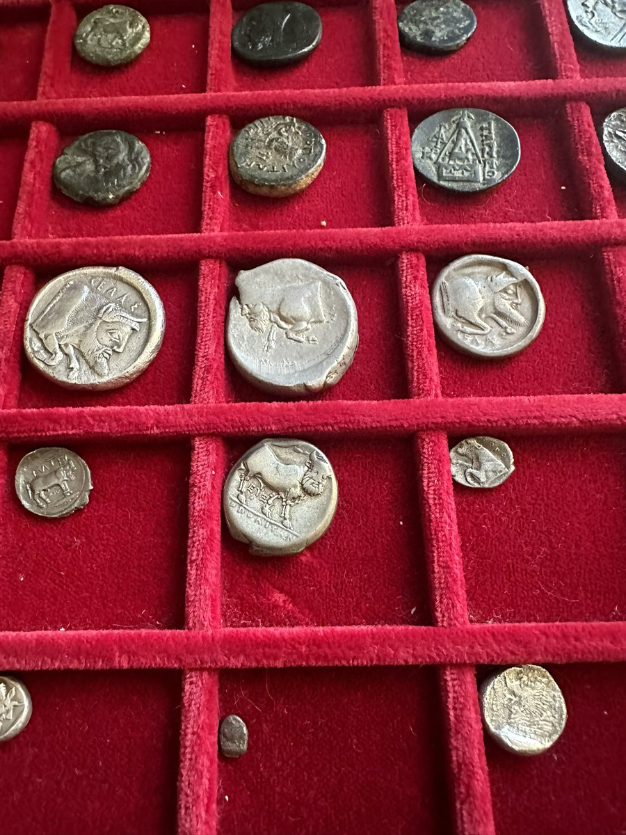 Achelous coins.  Forgot I had four issues by the Sileraioi (my favorites).