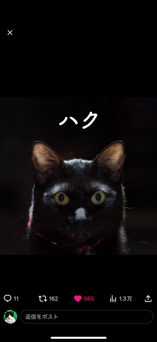 kook様へ♥12/15 Sweet♡Magicalユニコーン ZIPパーカー PI – ACDC RAG