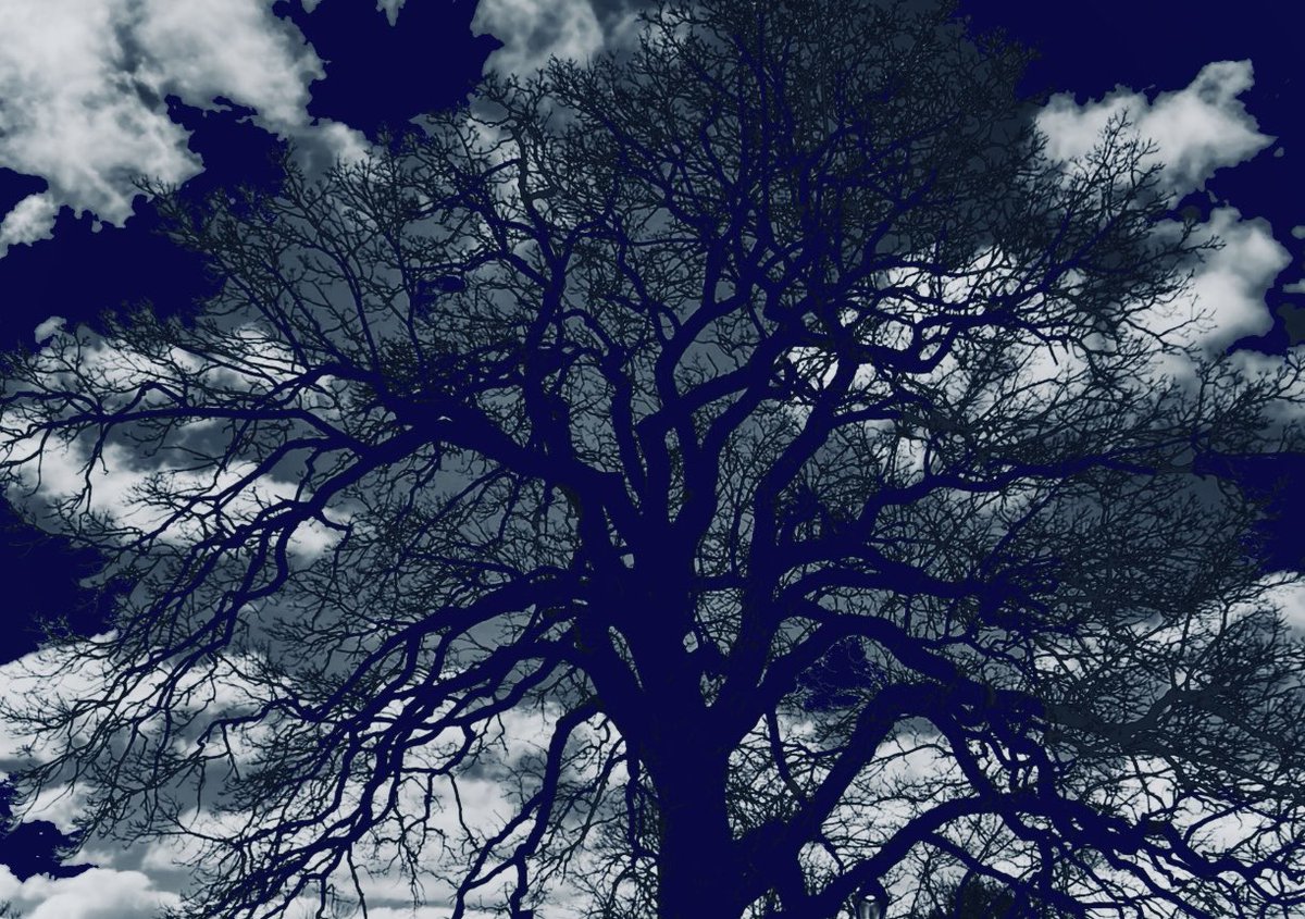 George44716363's tweet image. 