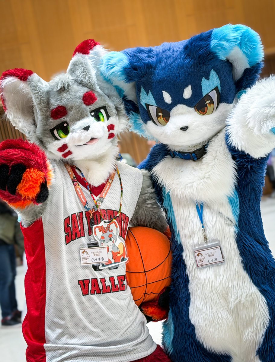 さみまる☼꙳ (@furry_330) / Posts / X