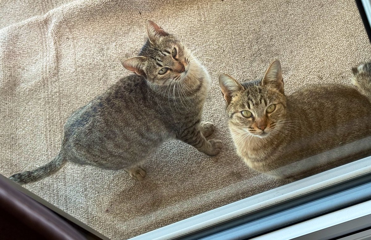 よっちんです。 せおりんとの日常🐏 よっちのスマホでせおりんと自撮りしたの初めてで