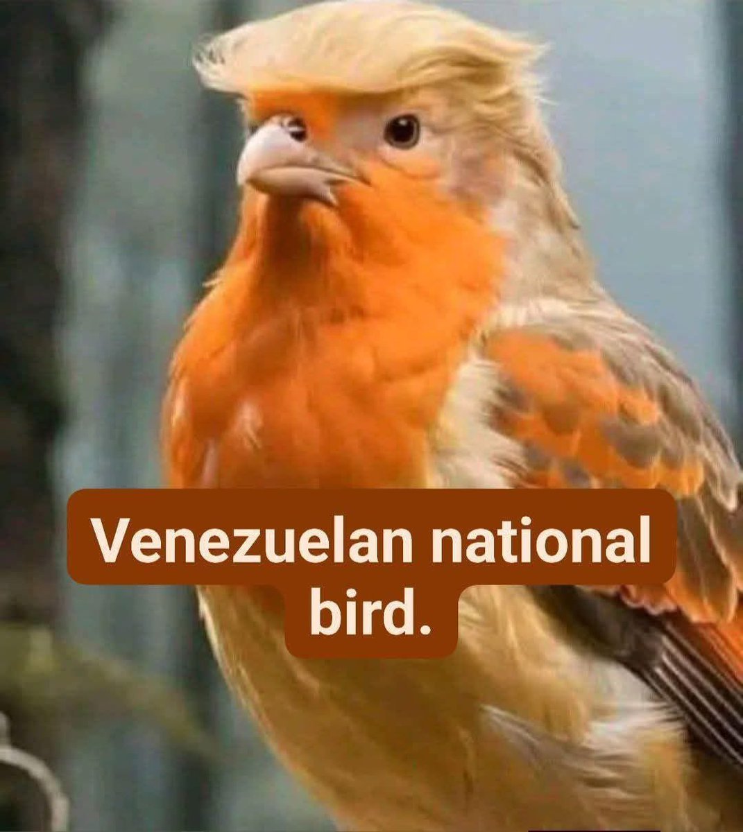 MAGAdino's tweet image. 