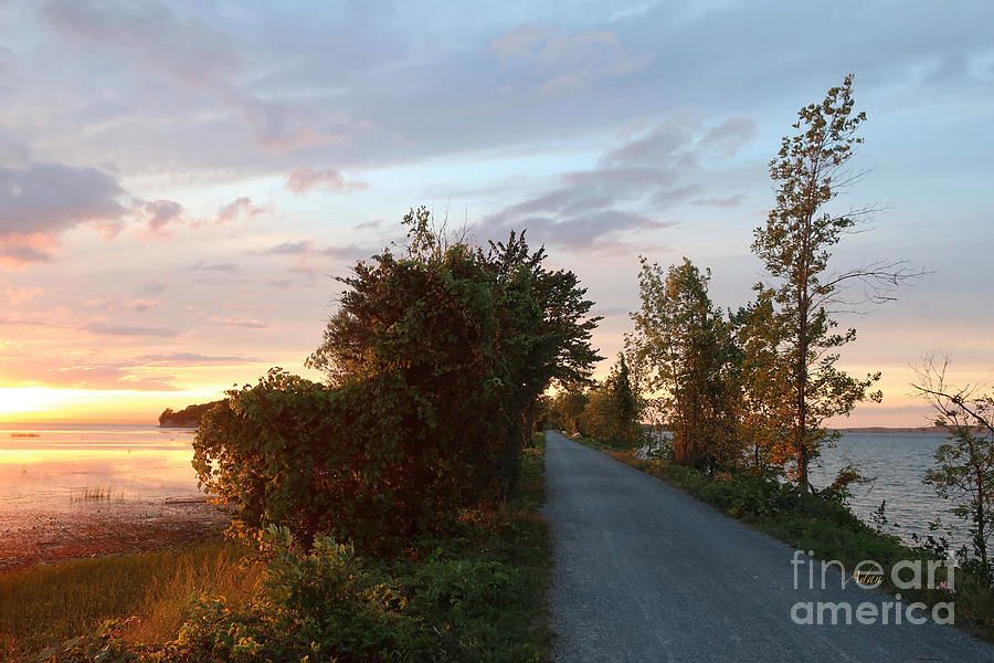 FelipeAdanLerma's tweet image. My most viewed photo on Fine Art America Friday, January 02, 2026

Island Line Trail Sunset via Colchester Vertical -

felipeadan-lerma.pixels.com/featured/islan…

full image also available -

felipeadan-lerma.pixels.com/featured/islan…
#FallColors