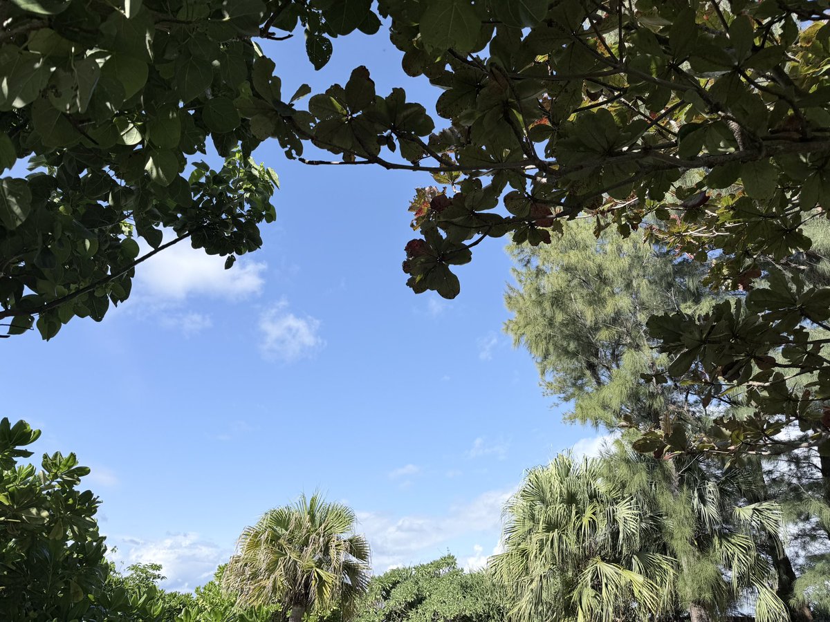 sato_thinking's tweet image. 成果は、当たり前を徹底する人に宿る。

特別なことは必要ない。基本的で合理的なことを愚直に続ける。その積み重ねこそが、揺るがない結果をつくりあげる。

おはようございます。
今日も良い一日をお過ごしください！