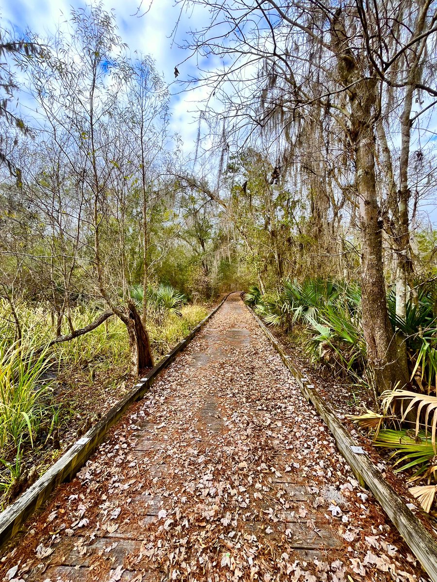 Sideshow Bob (@therealyungbob) on Twitter photo 