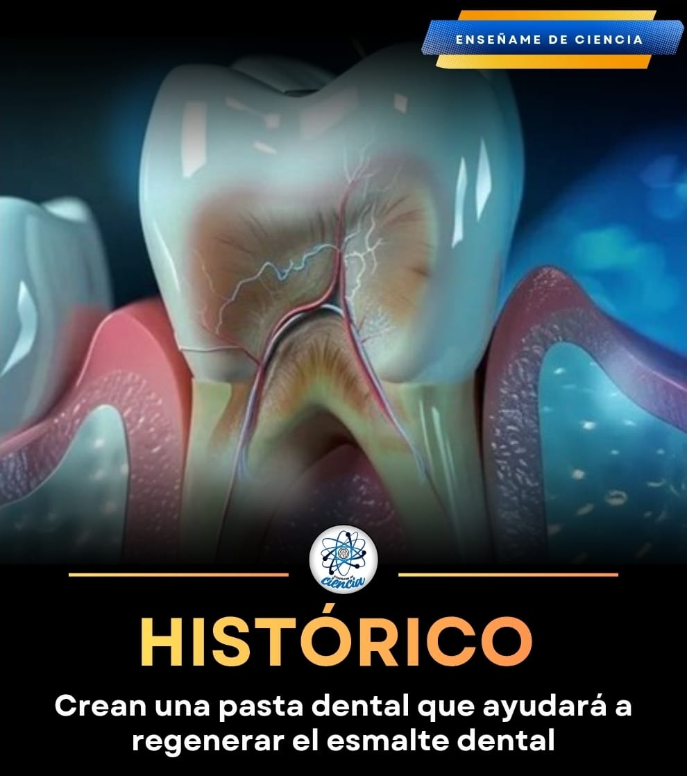 👩‍⚕️⚕️ Un equipo de científicos alemanes ha conseguido algo que parecía imposible: imitar el esmalte dental humano y añadirlo a productos diarios de higiene personal. Por lo que han creado una pasta dental de uso diario con 20% de hidroxiapatita, que es el principio activo que